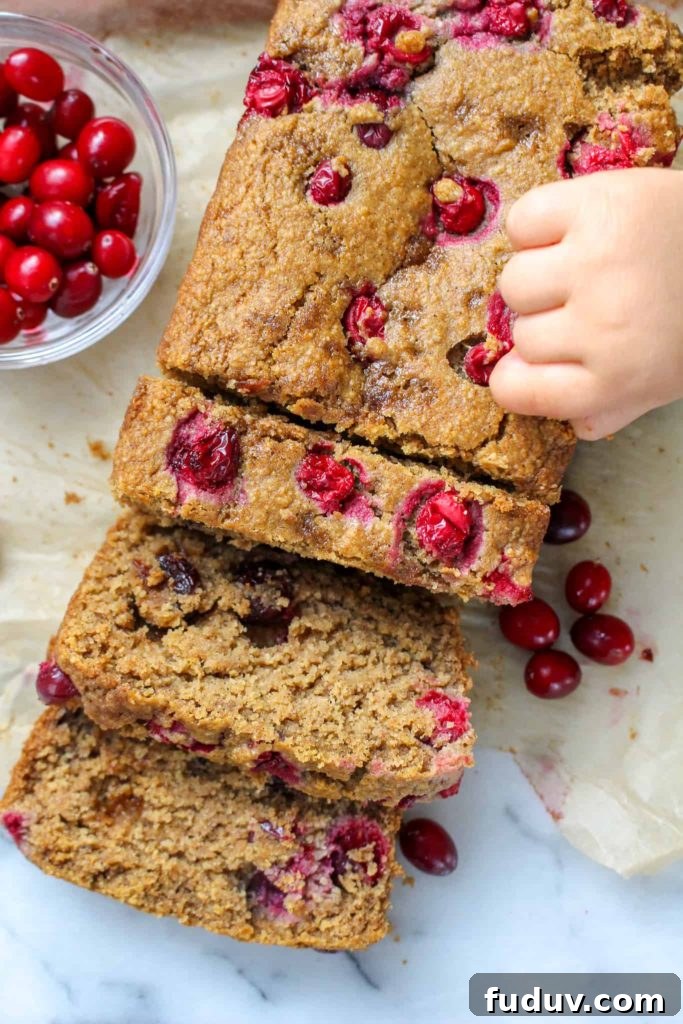Cranberry Quick Bread made with oat flour