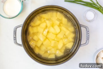 Cubed potatoes in dutch oven covered with water.