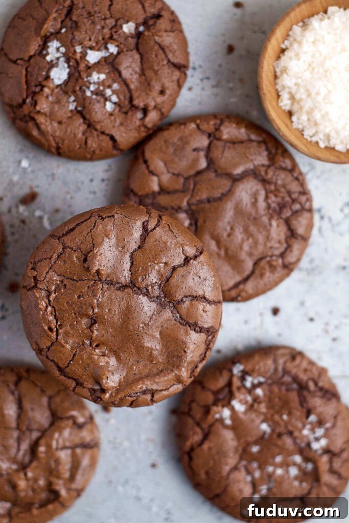 Chewy Brownie Crinkle Cookies Recipe for Fudgy Chocolate Lovers 13 cookies showing shiny tops with crackles