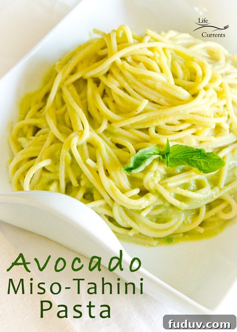 Avocado-Miso-Tahini Pasta Recipe - creamy vegan healthy sliky goodness Avocado-Miso-Tahini Pasta Recipe - creamy vegan healthy sliky goodness