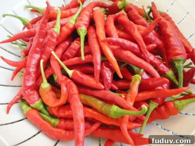 Hot Peppers from the Garden