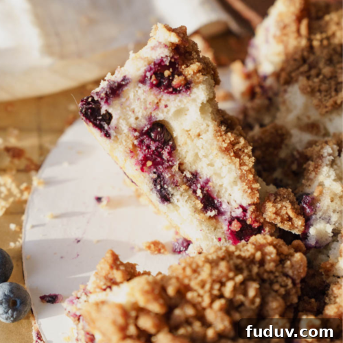 Blueberry Buckle Cake