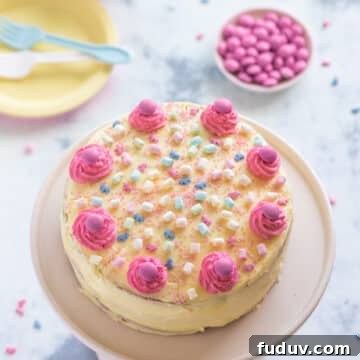 Pink Birthday Cake Recipe Without Fondant — Simple Steps for a Stunning Cake 6 img 9366 5