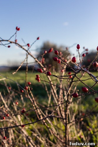 Winter in Tuscany