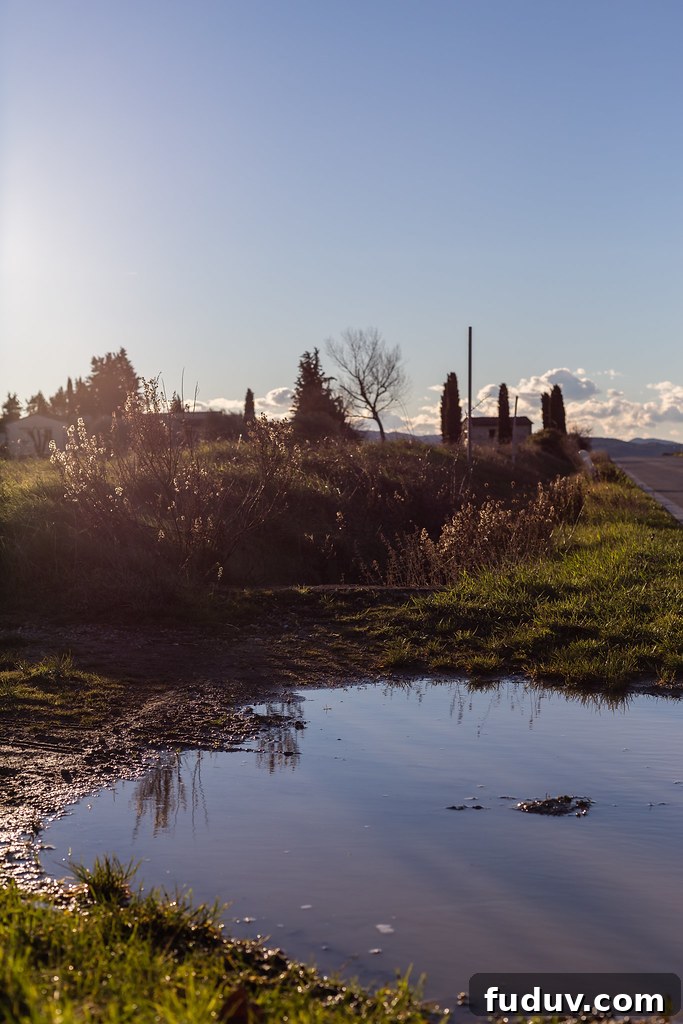 Winter in Tuscany Winter in Tuscany