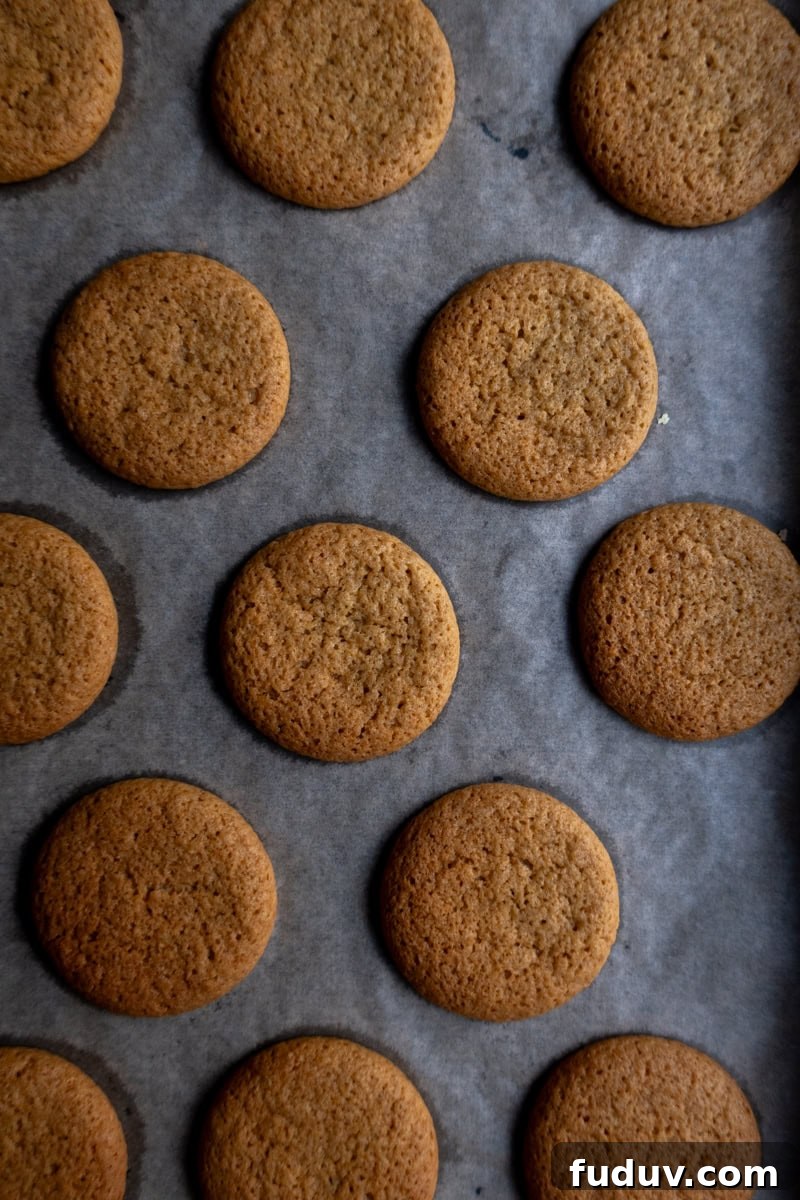 Ginger Nut Canapés with Stilton and Pear 4 Ginger biscuits baked on a tray - Georgie Mullen