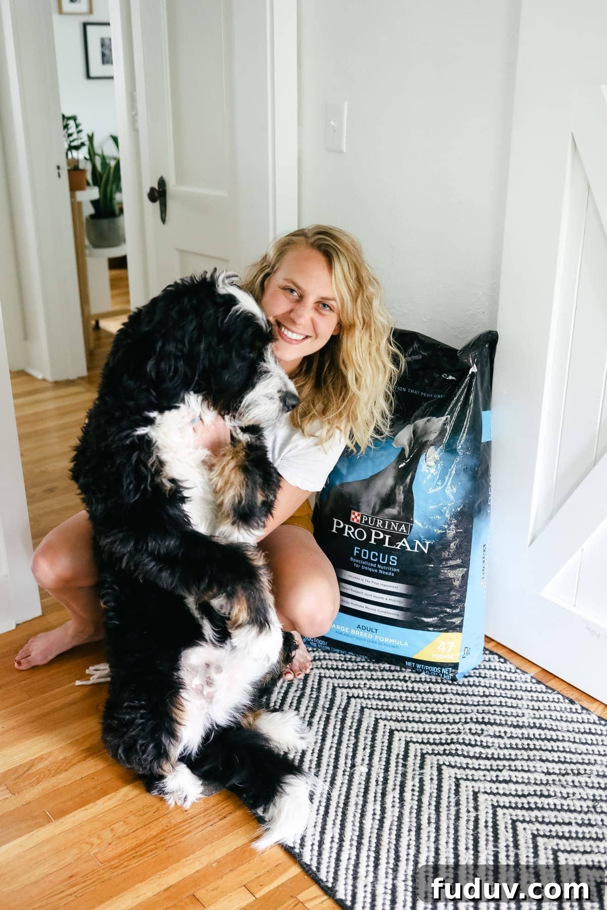 Choosing the Right Dog Food: A Practical Buying Guide 2 Jasper the bernedoodle