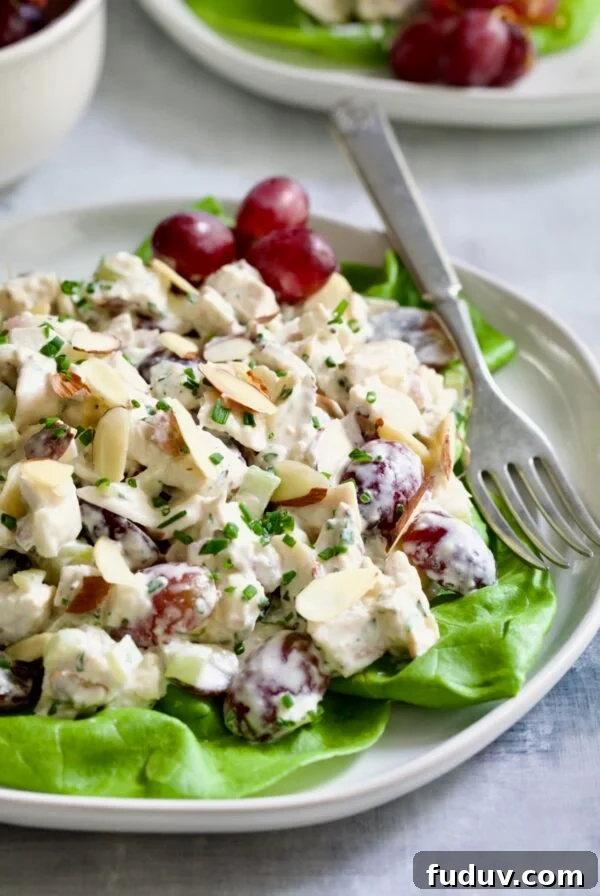 Chicken Salad with Herbs, Almonds and Grapes on lettuce on white plate.