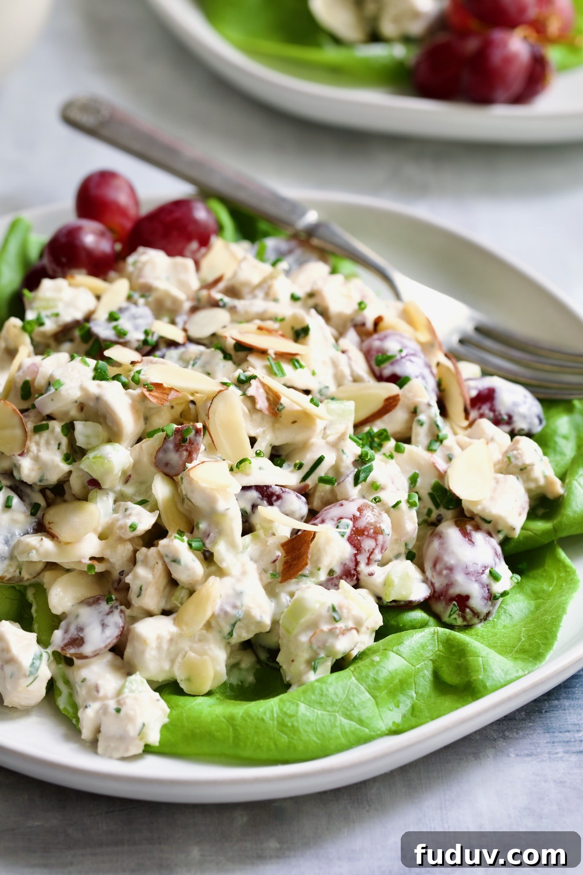 Chicken Salad with Herbs, Almonds and Grapes on lettuce on white plate.
