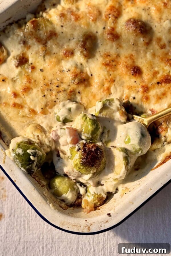 Brussels sprout casserole in a tray.